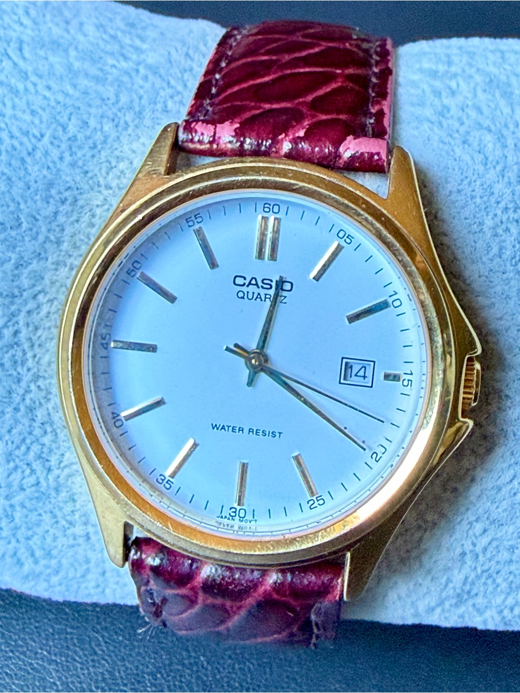 Casio Watch